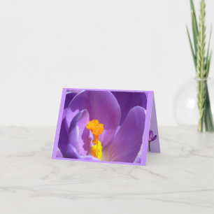 Fleurs Cartes Fleurs Crocus Fleurs Carte de voeux 