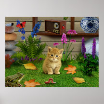 fleurs chat fleur kitty grenouille photo poster na