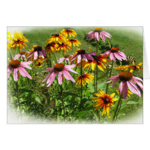 Fleurs colorées