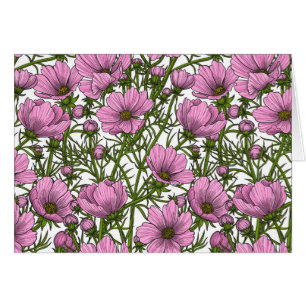 Fleurs Cosmos roses