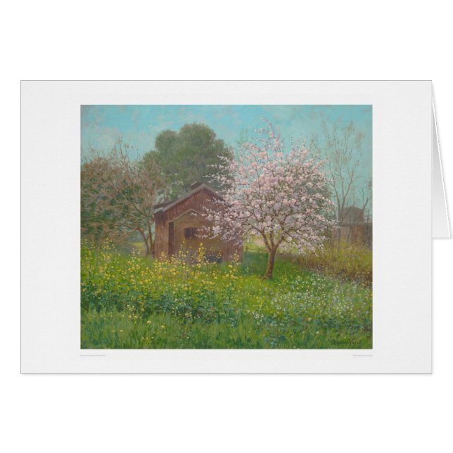 Fleurs d'amande et moutarde sauvage (1152) (Devant horizontal)
