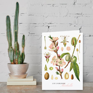 Fleurs d'amandes botaniques Monogramme vierge