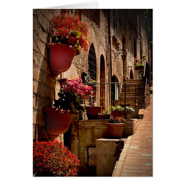 Fleurs dans la rue Assisi Italty (Devant)