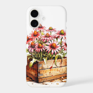 Fleurs d'aster en fleurs jolies