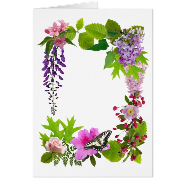 Fleurs d'avril (Devant)