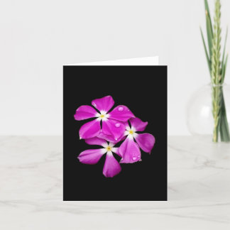 "Fleurs de bigorneau carte vierge après