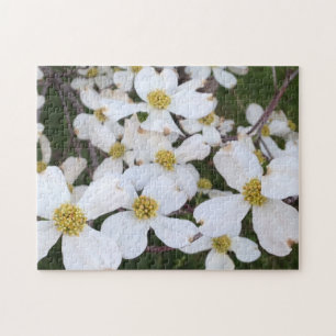 Fleurs de bois de chien blanc Puzzles photo
