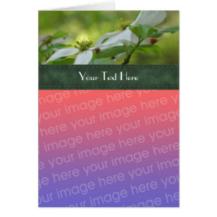 Fleurs de bois de chien blanc Votre Carte photo