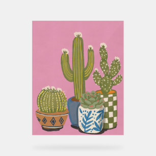 Fleurs de cactus rose