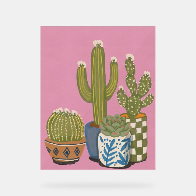 Fleurs de cactus rose (Recto)