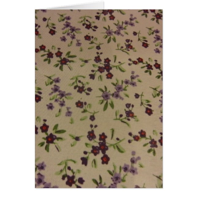 Fleurs de Calico des Prairies (Devant)