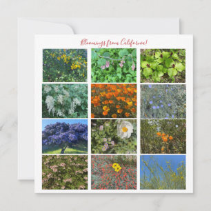 Fleurs de Californie ! Carte de correspondance