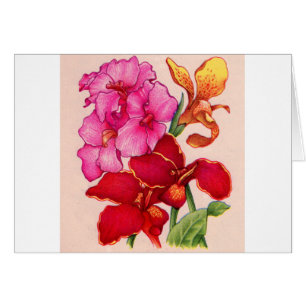 fleurs de canna