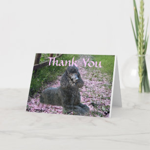 Fleurs de Carte de remerciements noir de caniche