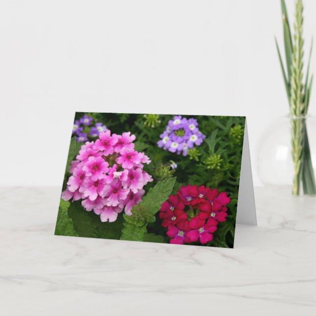 Fleurs de carte pour notes (Devant)