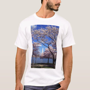 Fleurs de cerisier dans le T-shirt des hommes de
