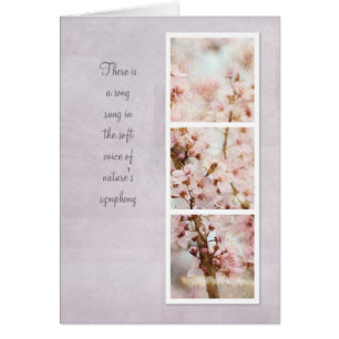 Fleurs de cerisier Romance de ressort