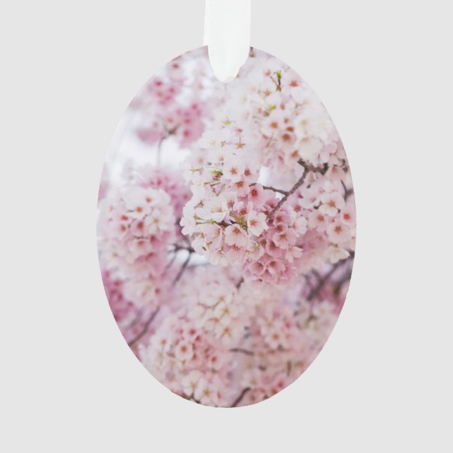 Fleurs de cerisiers (dos)