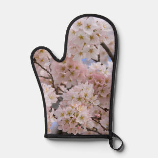 Fleurs de cerisiers