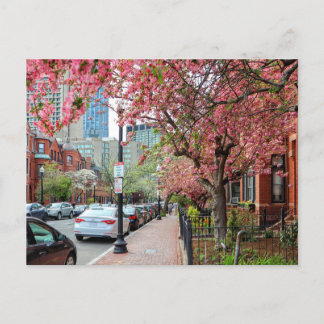 Fleurs de cerisiers à Boston Massachusetts Carte p