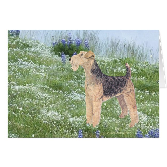 Fleurs de champ (Devant horizontal)