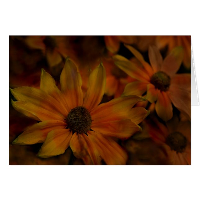 Fleurs de crique de poissons (Devant horizontal)