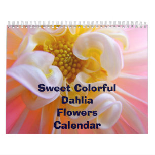 Fleurs de Dahlia Colorées Douces Calendrier Floral