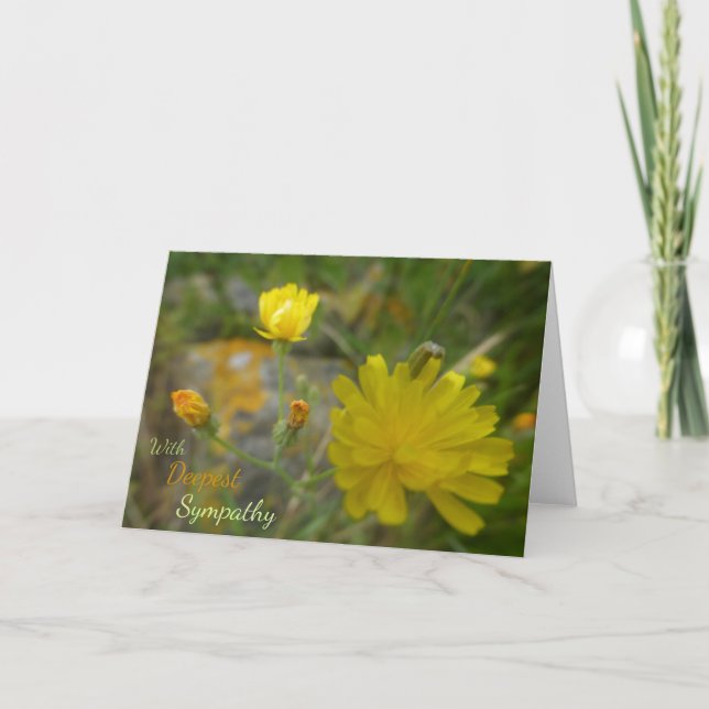 Fleurs de Dandelion Jaune Carte de Sympathie Seren (Devant)