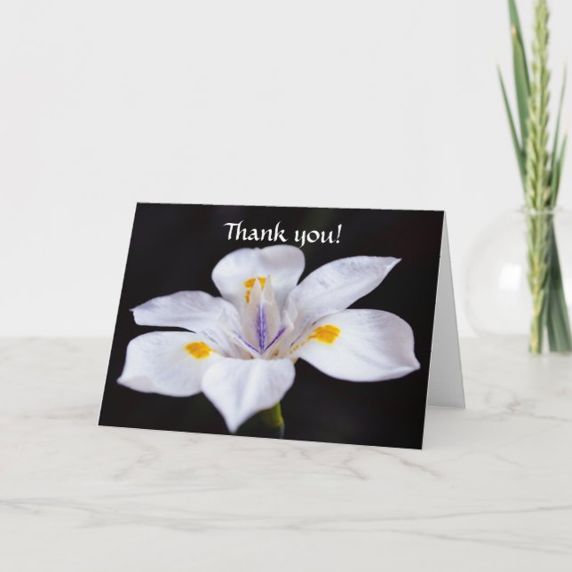 Fleurs de foi Carte de remerciements de fleur Iris (Devant)