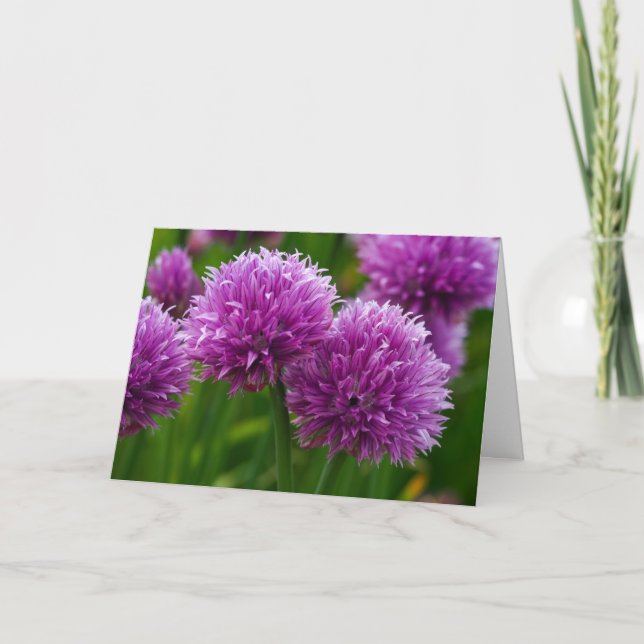 Fleurs de foie penser à votre carte (Devant)