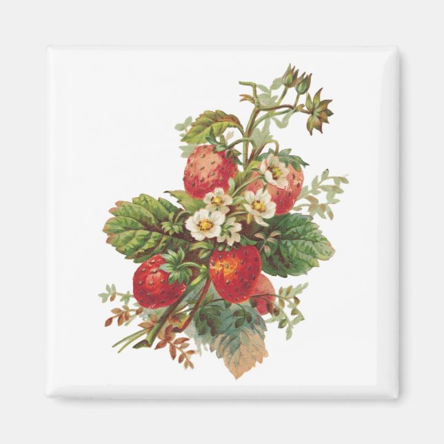 Fleurs de fraises Magnets (Devant)