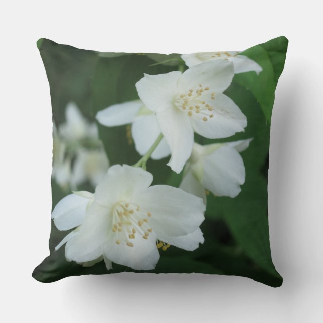 Fleurs de jasmin Lance Oreiller (Recto)