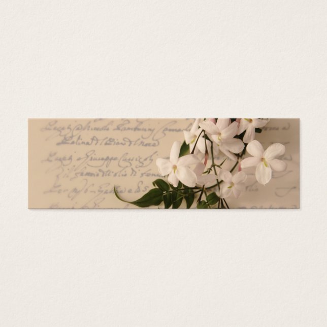 fleurs de jasmine sur l'ancien script écriture sig (Devant)