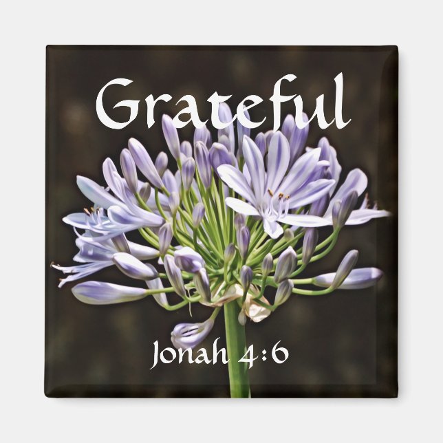 Fleurs de la foi Jonah Agapanthus Magnet (Devant)