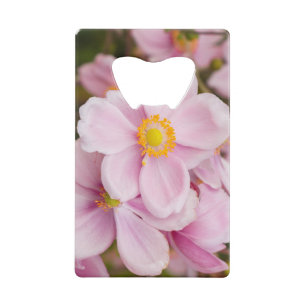 Fleurs de l'anémone japonaise