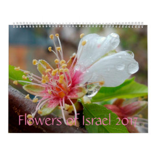 Fleurs de l'Israël : Calendrier 2017