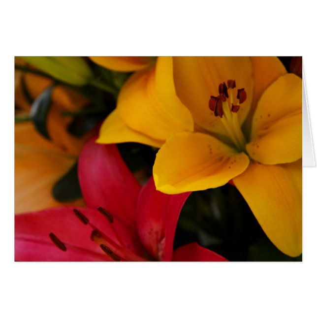 Fleurs de marché II (Devant horizontal)