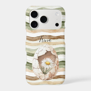 Fleurs de marguerite blanc crème