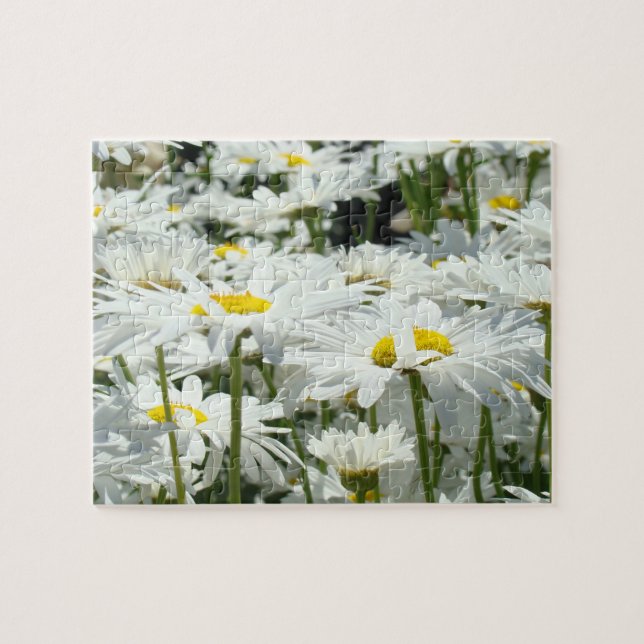 Fleurs de marguerite Jardin Puzzle Fun Time Puzzle (Horizontal)