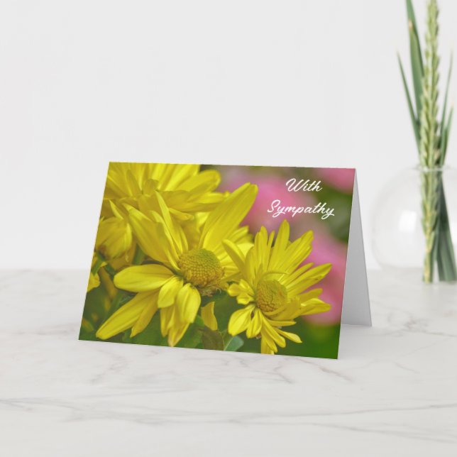 Fleurs de marguerite jaune Carte de Sympathie du j (Devant)