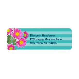 Fleurs de marguerite rose fraîche sur bandes Turqu