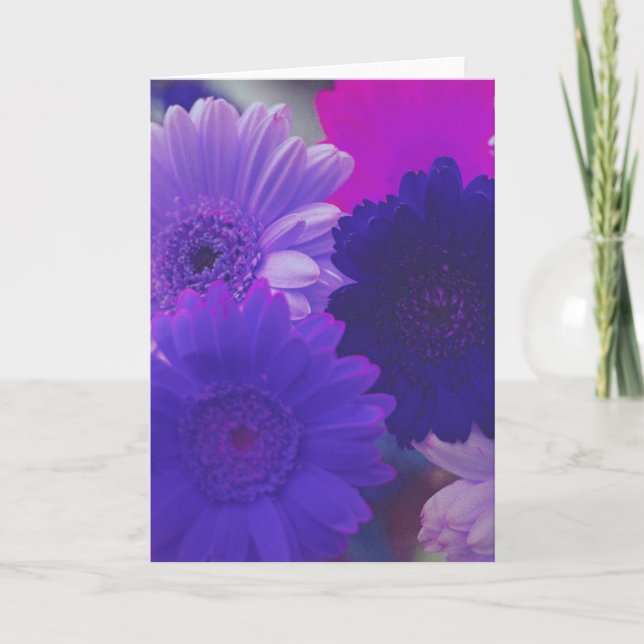 Fleurs de marguerite violette Note photo ou Cartes (Devant)
