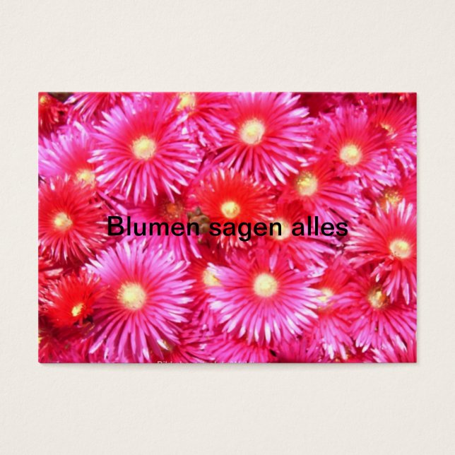 Fleurs de midi (Devant)