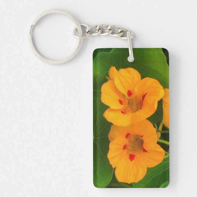 Fleurs de Nasturtium (Devant)