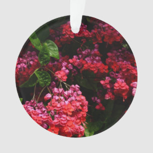 Fleurs de pagode colorées rouge et rose