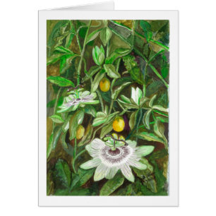 Fleurs de passion