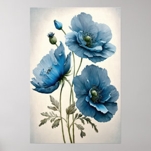 Fleurs de pavot bleu Art Imprimer Poster