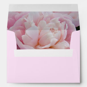 Fleurs de pivoines roses A7 Enveloppe de cartes de