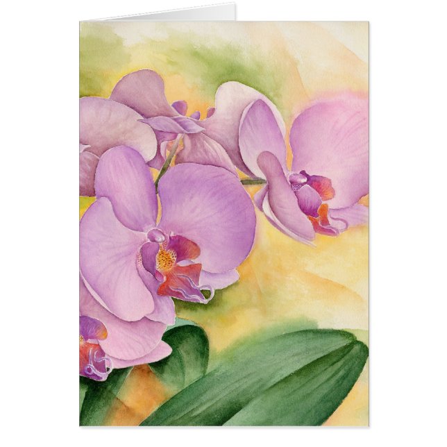 Fleurs de pourpre de rose d'orchidées de (Devant)
