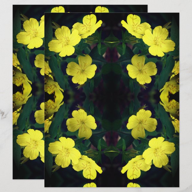 Fleurs de Primrose Jaune Papier à papier à scandal (Devant / Derrière)